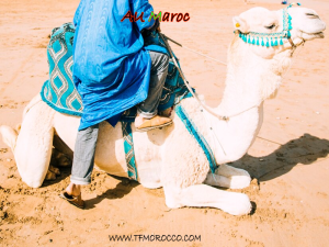 voyage maroc tout inclus leclerc