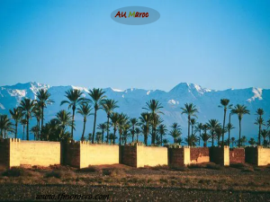 Hôtel Les Jardins de la Koutoubia