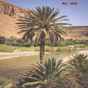 oasis au maroc