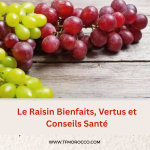 Le Raisin Bienfaits, Vertus et Conseils Santé
