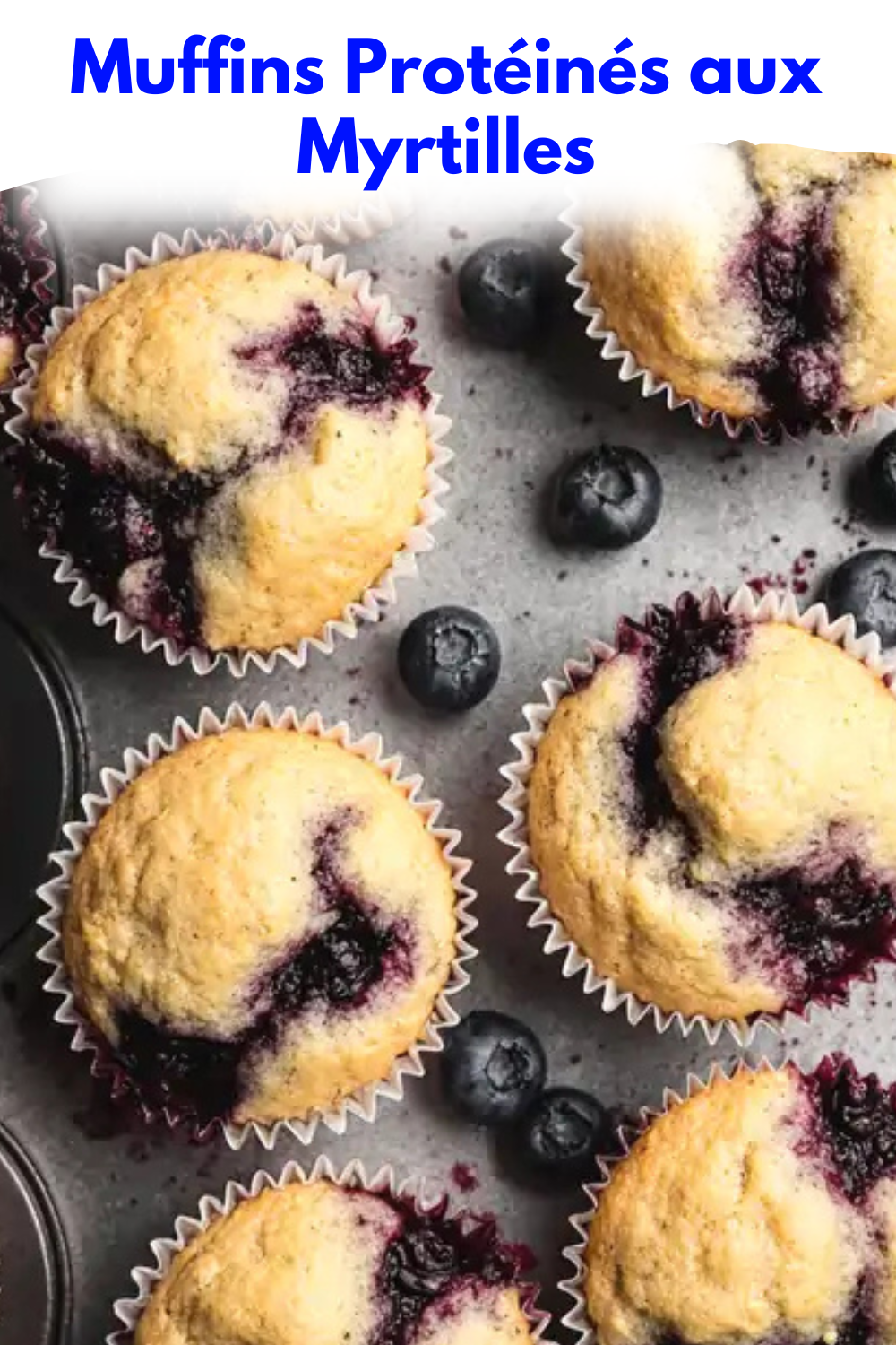 Muffins Protéinés aux Myrtilles Muffins Protéinés aux Myrtilles
