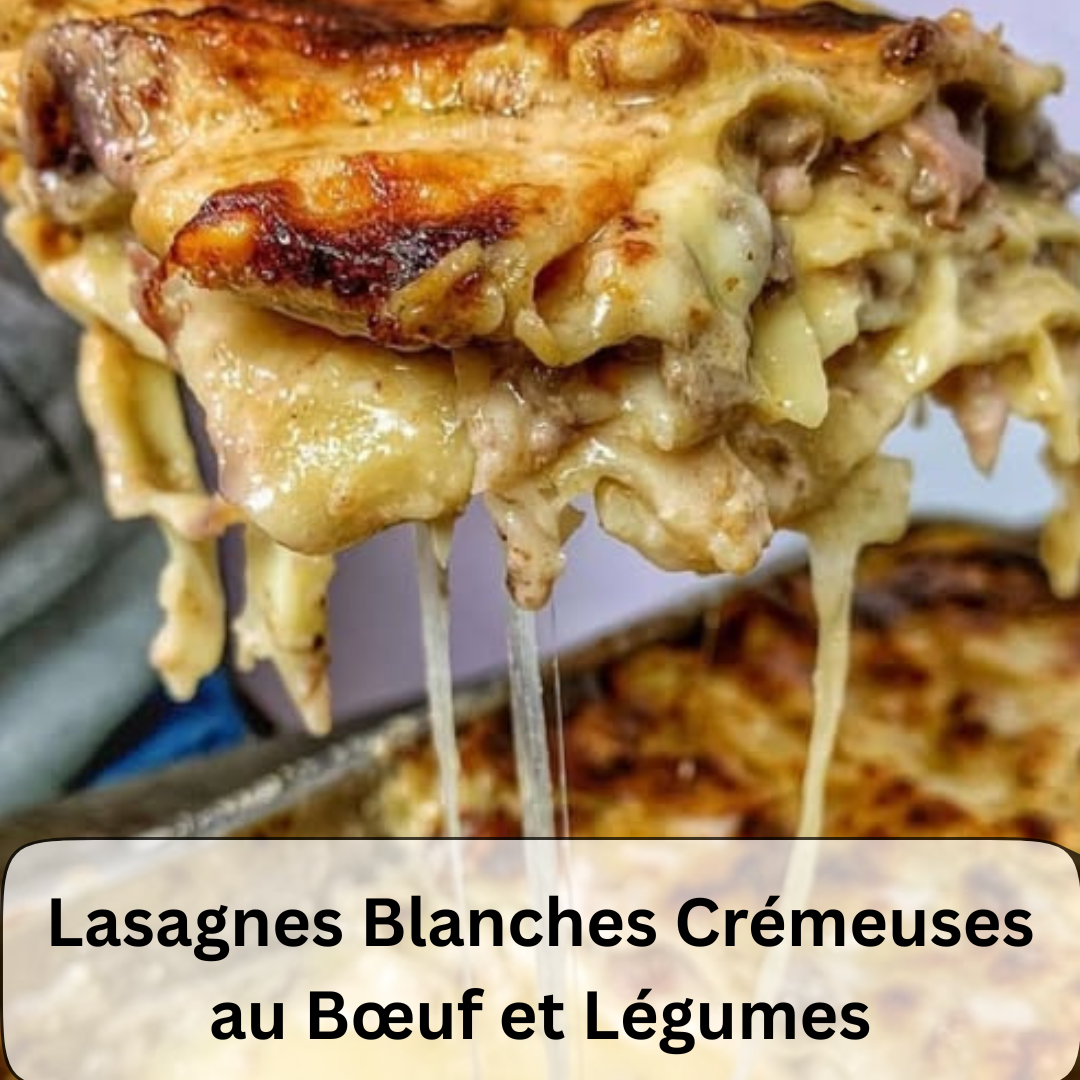 Lasagnes Blanches Crémeuses au Bœuf et Légumes