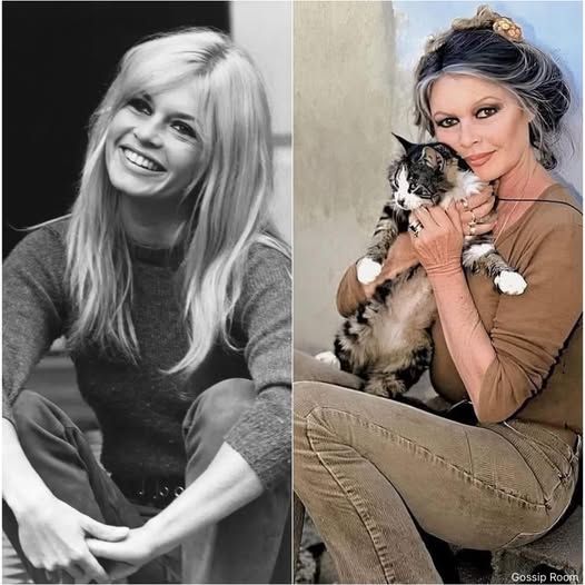 Brigitte Bardot décédée à 91 ans